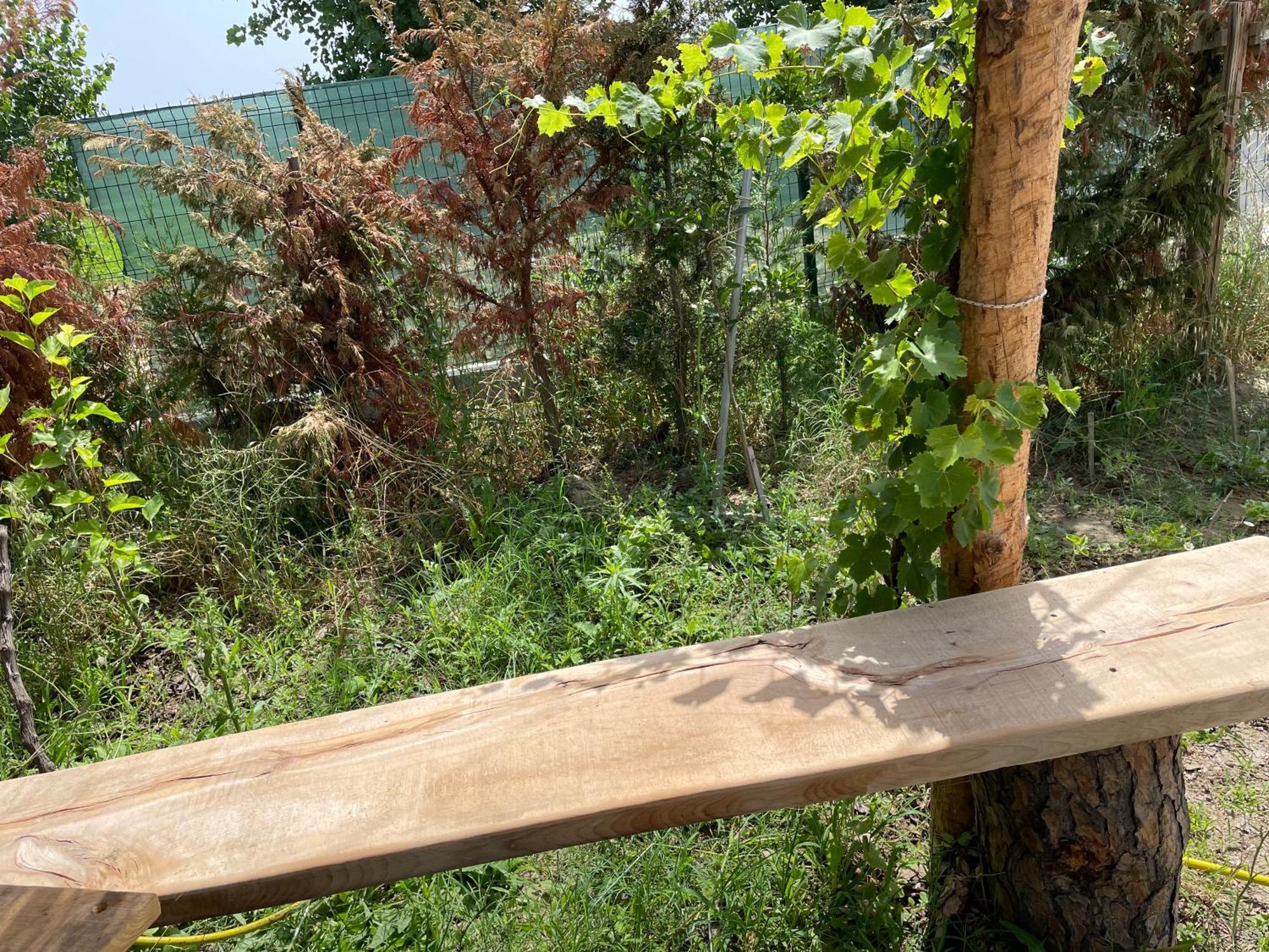Mahane Apartamento Tirana